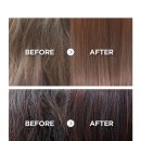 샤론헤어 이미지