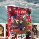로렘디자인 이미지