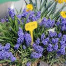 [주말]힐링 원예테라피 이미지