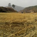 [매매됨]금산 주말농장하기 좋은 땅(남일면,666평) 이미지