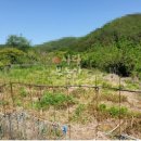 차랑농장 이미지