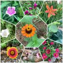 정희네민박 이미지