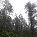 정선사북교차로점 | 불남 님 번개] - 강원 정선 만항재, 하이원골프장, 사북, 민둥산, 지억산, 소금강, 대촌마을, 정선, 조양강