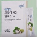 오롯이;독 이미지