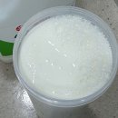 리얼요거트 | 리얼케어 그릭요거트 스타터 내돈내산 후기