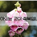 희망찬미래