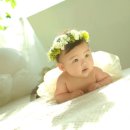세광사진관 - 창원시 마산합포구 노산북8길 18 | 세광사진관