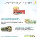 차일드아카데미 - 두근두근원리과학