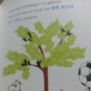 게으른고양이 이미지