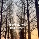 프로방스 | 담양 여행 코스 추천 🌿 메타세쿼이아길 &amp; 메타프로방스 솔직 후기