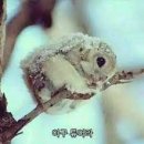 세마이 - 연제구 반송로 50-12 | 세마이