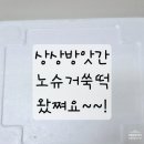 2729 | 입소문난 상상방앗간 해풍 쑥떡 직접 먹어본 후기