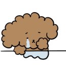 싱싱노래연습장 이미지