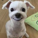 110. 내가 사랑하는 것들이 나를 만든다