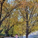 청사커뮤니케이션 이미지