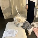 시흥보컬학원 직장인 취미로는 여기가 최고 인생 후기