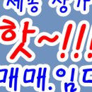 새롬아파트 앞 이미지