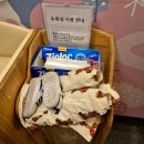 붕붕보링 모터랜드 | [PLAY] 아기랑 경기도 용인 [삼성화재 모빌리티뮤지엄] 내돈내산 첫방문 후기