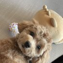 박귀자 | 신입사원 연수받고 코로나 확진되고 첫 출근한 일상