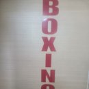 한성 복싱짐 이미지