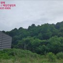 복수초등학교용진분교장 이미지