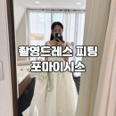 w16. 포마이시스 촬영드레스 피팅 후기(계약O)
