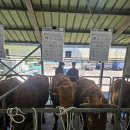 김창순농장 이미지