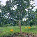 선택농장 이미지