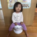 아이팜쥬스 | 두돌아기 배변훈련 성공후기(3주걸림)