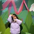 월미로 | 인천 곤충체험 와일드벅스 월미도 아이랑 곤충박물관관