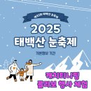 태백 눈꽃축제 2025 기간 별빛페스타 캐치티니핑 콜라보