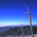 블루 blue 이미지