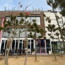 셀럽아이 | 아이랑 영종도 카페 오션뷰 베이커리맛집 데일리셀럽 소금빵 두쫀쿠 후기