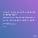 드림엔터테인먼트 | [BL드라마]페이백 더 시리즈 _samk 1~3화 리뷰