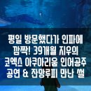 인어공주 | [ 코엑스 아쿠아리움 ] 내돈내산 씨라이프 티켓 할인 꿀팁, 주차 위치와 인어공주 공연 시간 팩트 후기