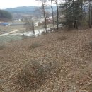 사동회관 이미지