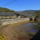 구례여행 산수유꽃에 더욱 화사한 고택의 봄, 나눔을 실천한 타인능해 운조루