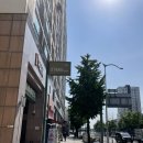 단하나피티 이미지