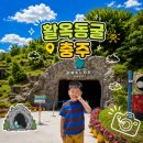 대단해농장 | 🌀 여름 피서는 여기지! 충주 활옥동굴 가족 나들이 후기