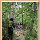 지리산에서의 하루 이미지