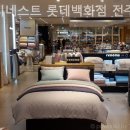코지네스트전주점