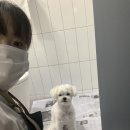 김아지미용실