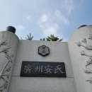 안(安) 이미지