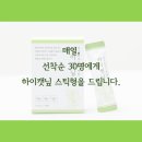 펫코디 이미지