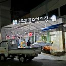 풀뷰스파풀빌라 | 속초 일출펜션 풀뷰스파풀빌라 해돋이 오션뷰 개별수영장 커플여행추천