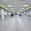 라이온스태권도 이미지