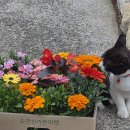 두번의 이별과 세번의 만남 이미지