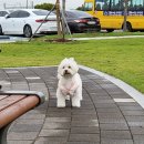 파라독스글램핑 이미지