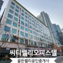 골든밸리공인중개사사무소 이미지