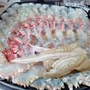 회썰어파는집 - 창원시 성산구 | 회썰어파는집